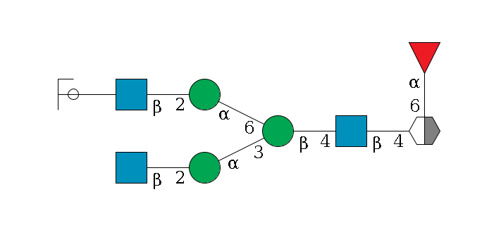 b1D-GlcNAc,p/#acleavage_2_5(--6a1L-Fuc,p)--4b1D-GlcNAc,p--4b1D-Man,p(--3a1D-Man,p--2b1D-GlcNAc,p)--6a1D-Man,p--2b1D-GlcNAc,p--??1D-Gal,p/#ycleavage$MONO,Und,-2H,0,redEnd