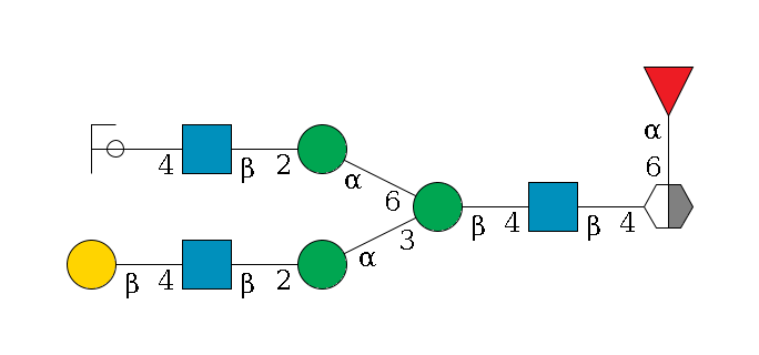 b1D-GlcNAc,p/#acleavage_2_5(--6a1L-Fuc,p)--4b1D-GlcNAc,p--4b1D-Man,p(--3a1D-Man,p--2b1D-GlcNAc,p--4b1D-Gal,p)--6a1D-Man,p--2b1D-GlcNAc,p--4b1D-Gal,p/#ycleavage$MONO,Und,-H,0,redEnd