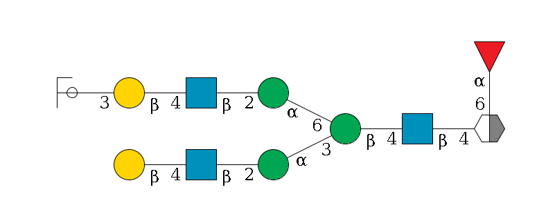 b1D-GlcNAc,p/#acleavage_2_5(--6a1L-Fuc,p)--4b1D-GlcNAc,p--4b1D-Man,p(--3a1D-Man,p--2b1D-GlcNAc,p--4b1D-Gal,p)--6a1D-Man,p--2b1D-GlcNAc,p--4b1D-Gal,p--3a2D-NeuAc,p/#ycleavage$MONO,Und,-2H,0,redEnd