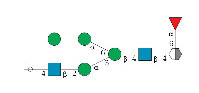b1D-GlcNAc,p/#acleavage_2_5(--6a1L-Fuc,p)--4b1D-GlcNAc,p--4b1D-Man,p(--3a1D-Man,p--2b1D-GlcNAc,p--4b1D-Gal,p/#ycleavage)--6a1D-Man,p--??1D-Man,p$MONO,Und,-H,0,redEnd