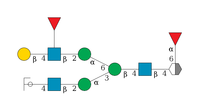b1D-GlcNAc,p/#acleavage_2_5(--6a1L-Fuc,p)--4b1D-GlcNAc,p--4b1D-Man,p(--3a1D-Man,p--2b1D-GlcNAc,p--4b1D-Gal,p/#ycleavage)--6a1D-Man,p--2b1D-GlcNAc,p(--4b1D-Gal,p)--??1L-Fuc,p$MONO,Und,-2H,0,redEnd
