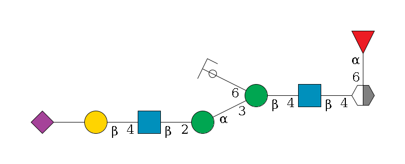 b1D-GlcNAc,p/#acleavage_2_5(--6a1L-Fuc,p)--4b1D-GlcNAc,p--4b1D-Man,p(--3a1D-Man,p--2b1D-GlcNAc,p--4b1D-Gal,p--??2D-NeuAc,p)--6a1D-Man,p/#ycleavage$MONO,Und,-2H,0,redEnd