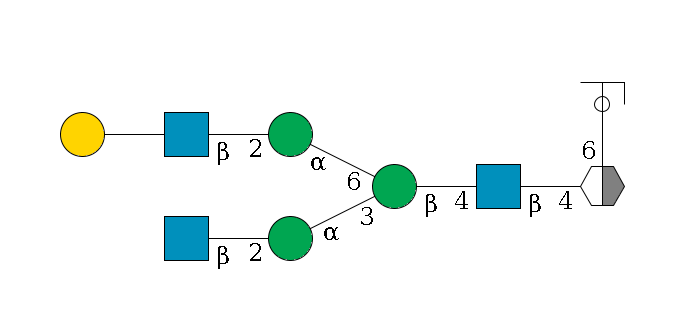 b1D-GlcNAc,p/#acleavage_2_5(--6a1L-Fuc,p/#ycleavage)--4b1D-GlcNAc,p--4b1D-Man,p(--3a1D-Man,p--2b1D-GlcNAc,p)--6a1D-Man,p--2b1D-GlcNAc,p--??1D-Gal,p$MONO,Und,-2H,0,redEnd