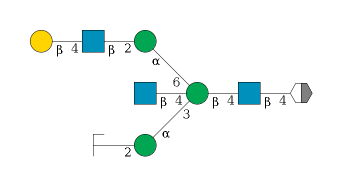 b1D-GlcNAc,p/#acleavage_2_5--4b1D-GlcNAc,p--4b1D-Man,p((--3a1D-Man,p--2b1D-GlcNAc,p/#zcleavage)--4b1D-GlcNAc,p)--6a1D-Man,p--2b1D-GlcNAc,p--4b1D-Gal,p$MONO,Und,-2H,0,redEnd