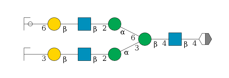 b1D-GlcNAc,p/#acleavage_2_5--4b1D-GlcNAc,p--4b1D-Man,p(--3a1D-Man,p--2b1D-GlcNAc,p--?b1D-Gal,p--3a2D-NeuAc,p/#zcleavage)--6a1D-Man,p--2b1D-GlcNAc,p--?b1D-Gal,p--6a2D-NeuAc,p/#ycleavage$MONO,Und,-2H,0,redEnd