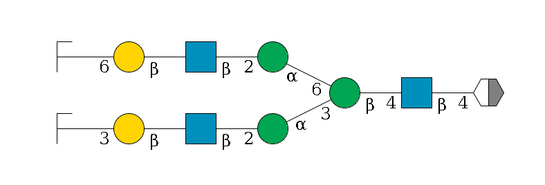 b1D-GlcNAc,p/#acleavage_2_5--4b1D-GlcNAc,p--4b1D-Man,p(--3a1D-Man,p--2b1D-GlcNAc,p--?b1D-Gal,p--3a2D-NeuAc,p/#zcleavage)--6a1D-Man,p--2b1D-GlcNAc,p--?b1D-Gal,p--6a2D-NeuAc,p/#zcleavage$MONO,Und,-H,0,redEnd