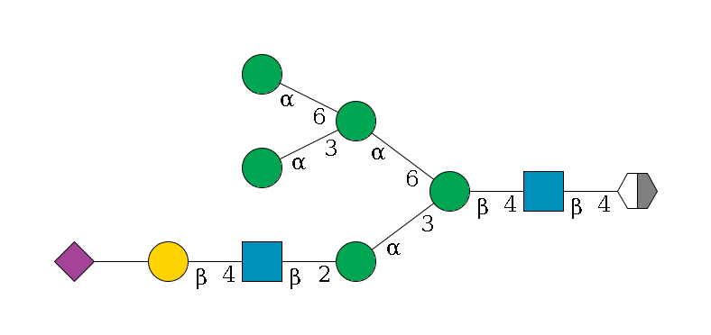 b1D-GlcNAc,p/#acleavage_2_5--4b1D-GlcNAc,p--4b1D-Man,p(--3a1D-Man,p--2b1D-GlcNAc,p--4b1D-Gal,p--??2D-NeuAc,p)--6a1D-Man,p(--3a1D-Man,p)--6a1D-Man,p$MONO,Und,-2H,0,redEnd