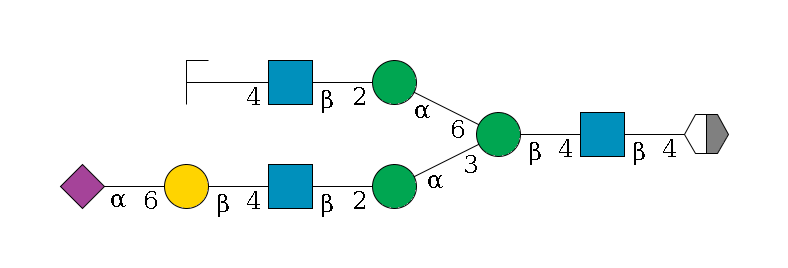b1D-GlcNAc,p/#acleavage_2_5--4b1D-GlcNAc,p--4b1D-Man,p(--3a1D-Man,p--2b1D-GlcNAc,p--4b1D-Gal,p--6a2D-NeuAc,p)--6a1D-Man,p--2b1D-GlcNAc,p--4b1D-Gal,p/#zcleavage$MONO,Und,-2H,0,redEnd
