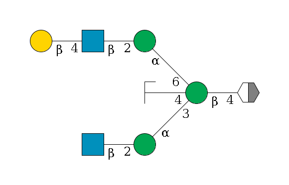 b1D-GlcNAc,p/#acleavage_2_5--4b1D-Man,p((--3a1D-Man,p--2b1D-GlcNAc,p)--4b1D-GlcNAc,p/#zcleavage)--6a1D-Man,p--2b1D-GlcNAc,p--4b1D-Gal,p$MONO,Und,-2H,0,redEnd