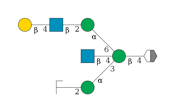 b1D-GlcNAc,p/#acleavage_2_5--4b1D-Man,p((--3a1D-Man,p--2b1D-GlcNAc,p/#zcleavage)--4b1D-GlcNAc,p)--6a1D-Man,p--2b1D-GlcNAc,p--4b1D-Gal,p$MONO,Und,-2H,0,redEnd