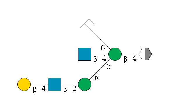 b1D-GlcNAc,p/#acleavage_2_5--4b1D-Man,p((--3a1D-Man,p--2b1D-GlcNAc,p--4b1D-Gal,p)--4b1D-GlcNAc,p)--6a1D-Man,p/#zcleavage$MONO,Und,-H,0,redEnd