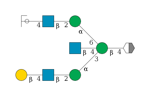 b1D-GlcNAc,p/#acleavage_2_5--4b1D-Man,p((--3a1D-Man,p--2b1D-GlcNAc,p--4b1D-Gal,p)--4b1D-GlcNAc,p)--6a1D-Man,p--2b1D-GlcNAc,p--4b1D-Gal,p/#ycleavage$MONO,Und,-2H,0,redEnd