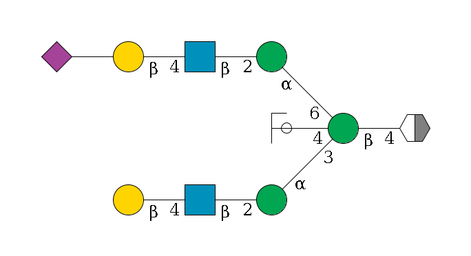 b1D-GlcNAc,p/#acleavage_2_5--4b1D-Man,p((--3a1D-Man,p--2b1D-GlcNAc,p--4b1D-Gal,p)--4b1D-GlcNAc,p/#ycleavage)--6a1D-Man,p--2b1D-GlcNAc,p--4b1D-Gal,p--??2D-NeuAc,p$MONO,Und,-2H,0,redEnd