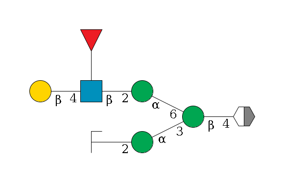 b1D-GlcNAc,p/#acleavage_2_5--4b1D-Man,p(--3a1D-Man,p--2b1D-GlcNAc,p/#zcleavage)--6a1D-Man,p--2b1D-GlcNAc,p(--4b1D-Gal,p)--??1L-Fuc,p$MONO,Und,-H,0,redEnd