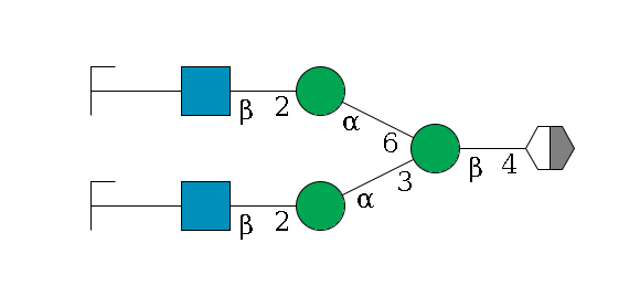 b1D-GlcNAc,p/#acleavage_2_5--4b1D-Man,p(--3a1D-Man,p--2b1D-GlcNAc,p--?b1D-Gal,p/#zcleavage)--6a1D-Man,p--2b1D-GlcNAc,p--?b1D-Gal,p/#zcleavage$MONO,Und,-H,0,redEnd