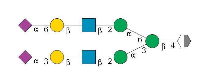 b1D-GlcNAc,p/#acleavage_2_5--4b1D-Man,p(--3a1D-Man,p--2b1D-GlcNAc,p--?b1D-Gal,p--3a2D-NeuAc,p)--6a1D-Man,p--2b1D-GlcNAc,p--?b1D-Gal,p--6a2D-NeuAc,p$MONO,Und,-H,0,redEnd