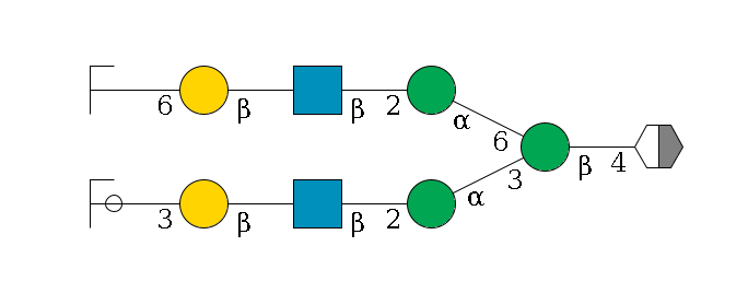 b1D-GlcNAc,p/#acleavage_2_5--4b1D-Man,p(--3a1D-Man,p--2b1D-GlcNAc,p--?b1D-Gal,p--3a2D-NeuAc,p/#ycleavage)--6a1D-Man,p--2b1D-GlcNAc,p--?b1D-Gal,p--6a2D-NeuAc,p/#zcleavage$MONO,Und,-2H,0,redEnd