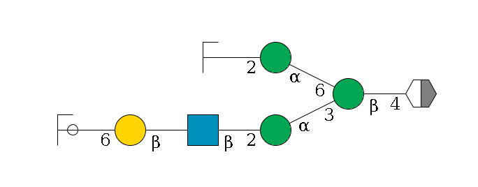 b1D-GlcNAc,p/#acleavage_2_5--4b1D-Man,p(--3a1D-Man,p--2b1D-GlcNAc,p--?b1D-Gal,p--6a2D-NeuAc,p/#ycleavage)--6a1D-Man,p--2b1D-GlcNAc,p/#zcleavage$MONO,Und,-2H,0,redEnd