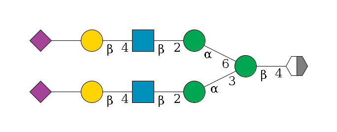 b1D-GlcNAc,p/#acleavage_2_5--4b1D-Man,p(--3a1D-Man,p--2b1D-GlcNAc,p--4b1D-Gal,p--??2D-NeuAc,p)--6a1D-Man,p--2b1D-GlcNAc,p--4b1D-Gal,p--??2D-NeuAc,p$MONO,Und,-2H,0,redEnd
