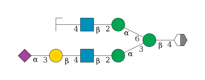 b1D-GlcNAc,p/#acleavage_2_5--4b1D-Man,p(--3a1D-Man,p--2b1D-GlcNAc,p--4b1D-Gal,p--3a2D-NeuAc,p)--6a1D-Man,p--2b1D-GlcNAc,p--4b1D-Gal,p/#zcleavage$MONO,Und,-2H,0,redEnd