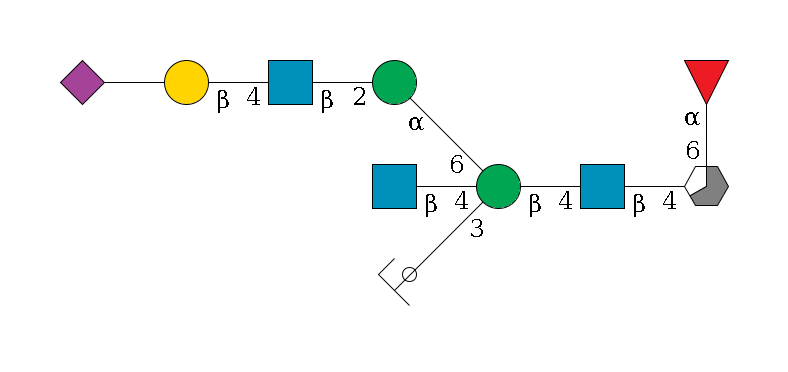 b1D-GlcNAc,p/#acleavage_3_5(--4b1D-GlcNAc,p--4b1D-Man,p((--3a1D-Man,p/#ycleavage)--4b1D-GlcNAc,p)--6a1D-Man,p--2b1D-GlcNAc,p--4b1D-Gal,p--??2D-NeuAc,p)--6a1L-Fuc,p$MONO,Und,-2H,0,redEnd