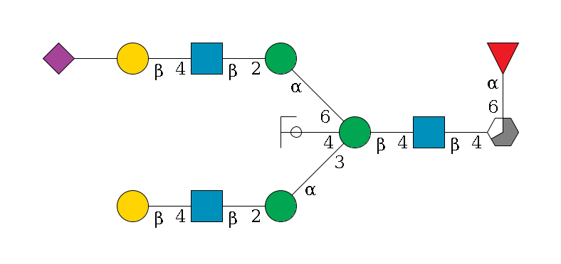 b1D-GlcNAc,p/#acleavage_3_5(--4b1D-GlcNAc,p--4b1D-Man,p((--3a1D-Man,p--2b1D-GlcNAc,p--4b1D-Gal,p)--4b1D-GlcNAc,p/#ycleavage)--6a1D-Man,p--2b1D-GlcNAc,p--4b1D-Gal,p--??2D-NeuAc,p)--6a1L-Fuc,p$MONO,Und,-H,0,redEnd