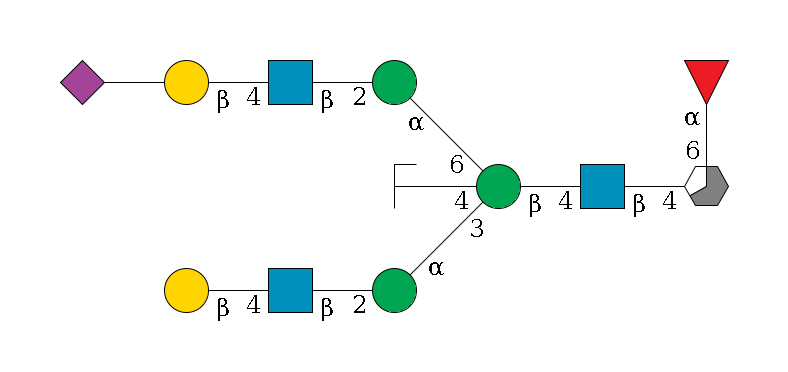 b1D-GlcNAc,p/#acleavage_3_5(--4b1D-GlcNAc,p--4b1D-Man,p((--3a1D-Man,p--2b1D-GlcNAc,p--4b1D-Gal,p)--4b1D-GlcNAc,p/#zcleavage)--6a1D-Man,p--2b1D-GlcNAc,p--4b1D-Gal,p--??2D-NeuAc,p)--6a1L-Fuc,p$MONO,Und,-2H,0,redEnd