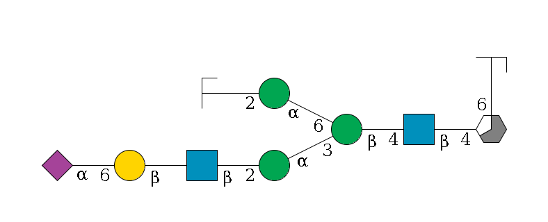 b1D-GlcNAc,p/#acleavage_3_5(--4b1D-GlcNAc,p--4b1D-Man,p(--3a1D-Man,p--2b1D-GlcNAc,p--?b1D-Gal,p--6a2D-NeuAc,p)--6a1D-Man,p--2b1D-GlcNAc,p/#zcleavage)--6a1L-Fuc,p/#zcleavage$MONO,Und,-2H,0,redEnd