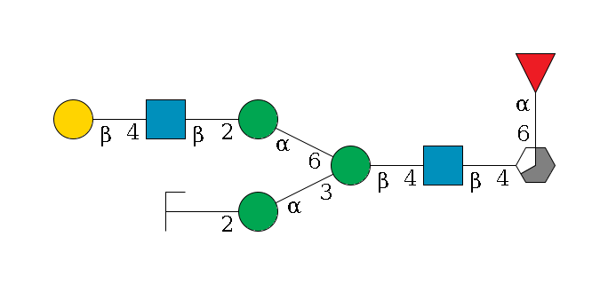b1D-GlcNAc,p/#acleavage_3_5(--6a1L-Fuc,p)--4b1D-GlcNAc,p--4b1D-Man,p(--3a1D-Man,p--2?1D-GlcNAc,p/#zcleavage)--6a1D-Man,p--2b1D-GlcNAc,p--4b1D-Gal,p$MONO,Und,-2H,0,redEnd
