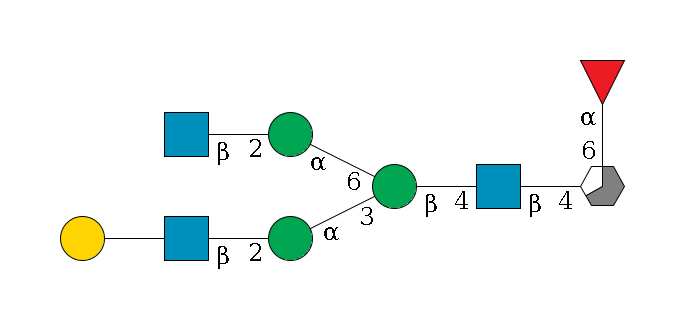b1D-GlcNAc,p/#acleavage_3_5(--6a1L-Fuc,p)--4b1D-GlcNAc,p--4b1D-Man,p(--3a1D-Man,p--2b1D-GlcNAc,p--??1D-Gal,p)--6a1D-Man,p--2b1D-GlcNAc,p$MONO,Und,-2H,0,redEnd