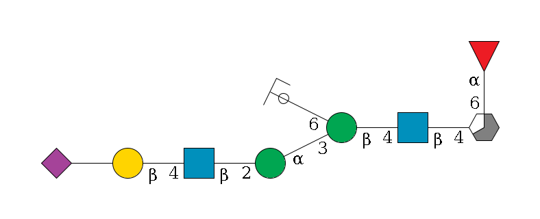 b1D-GlcNAc,p/#acleavage_3_5(--6a1L-Fuc,p)--4b1D-GlcNAc,p--4b1D-Man,p(--3a1D-Man,p--2b1D-GlcNAc,p--4b1D-Gal,p--??2D-NeuAc,p)--6a1D-Man,p/#ycleavage$MONO,Und,-2H,0,redEnd