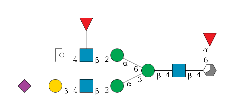 b1D-GlcNAc,p/#acleavage_3_5(--6a1L-Fuc,p)--4b1D-GlcNAc,p--4b1D-Man,p(--3a1D-Man,p--2b1D-GlcNAc,p--4b1D-Gal,p--??2D-NeuAc,p)--6a1D-Man,p--2b1D-GlcNAc,p(--4b1D-Gal,p/#ycleavage)--??1L-Fuc,p$MONO,Und,-H,0,redEnd