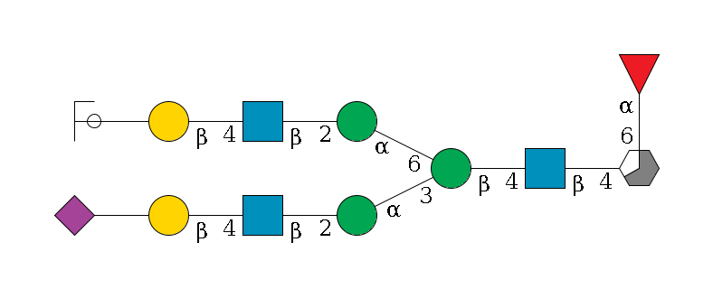 b1D-GlcNAc,p/#acleavage_3_5(--6a1L-Fuc,p)--4b1D-GlcNAc,p--4b1D-Man,p(--3a1D-Man,p--2b1D-GlcNAc,p--4b1D-Gal,p--??2D-NeuAc,p)--6a1D-Man,p--2b1D-GlcNAc,p--4b1D-Gal,p--??2D-NeuAc,p/#ycleavage$MONO,Und,-H,0,redEnd