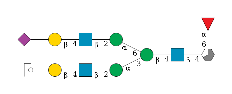 b1D-GlcNAc,p/#acleavage_3_5(--6a1L-Fuc,p)--4b1D-GlcNAc,p--4b1D-Man,p(--3a1D-Man,p--2b1D-GlcNAc,p--4b1D-Gal,p--??2D-NeuAc,p/#ycleavage)--6a1D-Man,p--2b1D-GlcNAc,p--4b1D-Gal,p--??2D-NeuAc,p$MONO,Und,-H,0,redEnd