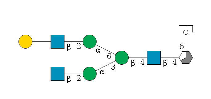 b1D-GlcNAc,p/#acleavage_3_5(--6a1L-Fuc,p/#ycleavage)--4b1D-GlcNAc,p--4b1D-Man,p(--3a1D-Man,p--2b1D-GlcNAc,p)--6a1D-Man,p--2b1D-GlcNAc,p--??1D-Gal,p$MONO,Und,-2H,0,redEnd