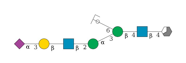 b1D-GlcNAc,p/#acleavage_3_5--4b1D-GlcNAc,p--4b1D-Man,p(--3a1D-Man,p--2b1D-GlcNAc,p--?b1D-Gal,p--3a2D-NeuAc,p)--6a1D-Man,p/#ycleavage$MONO,Und,-H,0,redEnd