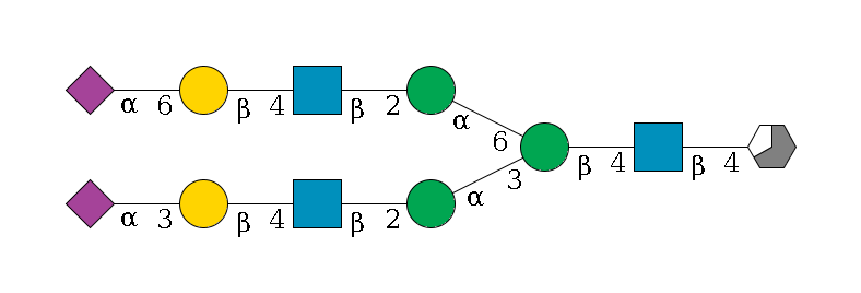 b1D-GlcNAc,p/#acleavage_3_5--4b1D-GlcNAc,p--4b1D-Man,p(--3a1D-Man,p--2b1D-GlcNAc,p--4b1D-Gal,p--3a2D-NeuAc,p)--6a1D-Man,p--2b1D-GlcNAc,p--4b1D-Gal,p--6a2D-NeuAc,p$MONO,Und,-2H,0,redEnd