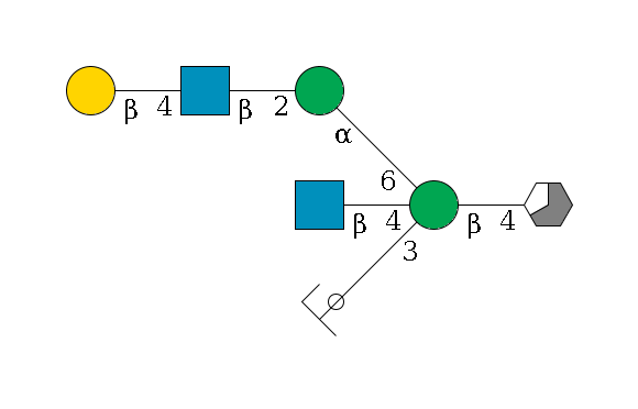 b1D-GlcNAc,p/#acleavage_3_5--4b1D-Man,p((--3a1D-Man,p/#ycleavage)--4b1D-GlcNAc,p)--6a1D-Man,p--2b1D-GlcNAc,p--4b1D-Gal,p$MONO,Und,-H,0,redEnd
