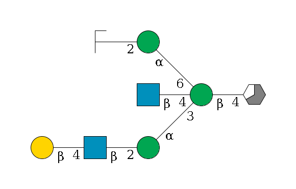 b1D-GlcNAc,p/#acleavage_3_5--4b1D-Man,p((--3a1D-Man,p--2b1D-GlcNAc,p--4b1D-Gal,p)--4b1D-GlcNAc,p)--6a1D-Man,p--2b1D-GlcNAc,p/#zcleavage$MONO,Und,-H,0,redEnd