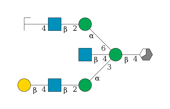 b1D-GlcNAc,p/#acleavage_3_5--4b1D-Man,p((--3a1D-Man,p--2b1D-GlcNAc,p--4b1D-Gal,p)--4b1D-GlcNAc,p)--6a1D-Man,p--2b1D-GlcNAc,p--4b1D-Gal,p/#zcleavage$MONO,Und,-2H,0,redEnd