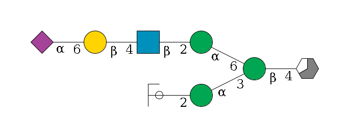 b1D-GlcNAc,p/#acleavage_3_5--4b1D-Man,p(--3a1D-Man,p--2b1D-GlcNAc,p/#ycleavage)--6a1D-Man,p--2b1D-GlcNAc,p--4b1D-Gal,p--6a2D-NeuAc,p$MONO,Und,-H,0,redEnd
