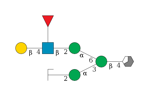 b1D-GlcNAc,p/#acleavage_3_5--4b1D-Man,p(--3a1D-Man,p--2b1D-GlcNAc,p/#zcleavage)--6a1D-Man,p--2b1D-GlcNAc,p(--4b1D-Gal,p)--??1L-Fuc,p$MONO,Und,-H,0,redEnd
