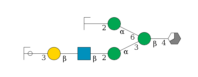 b1D-GlcNAc,p/#acleavage_3_5--4b1D-Man,p(--3a1D-Man,p--2b1D-GlcNAc,p--?b1D-Gal,p--3a2D-NeuAc,p/#ycleavage)--6a1D-Man,p--2b1D-GlcNAc,p/#zcleavage$MONO,Und,-H,0,redEnd