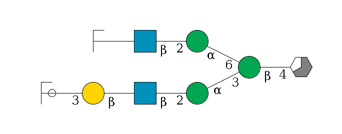 b1D-GlcNAc,p/#acleavage_3_5--4b1D-Man,p(--3a1D-Man,p--2b1D-GlcNAc,p--?b1D-Gal,p--3a2D-NeuAc,p/#ycleavage)--6a1D-Man,p--2b1D-GlcNAc,p--?b1D-Gal,p/#zcleavage$MONO,Und,-2H,0,redEnd