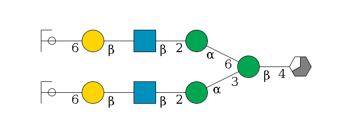 b1D-GlcNAc,p/#acleavage_3_5--4b1D-Man,p(--3a1D-Man,p--2b1D-GlcNAc,p--?b1D-Gal,p--6a2D-NeuAc,p/#ycleavage)--6a1D-Man,p--2b1D-GlcNAc,p--?b1D-Gal,p--6a2D-NeuAc,p/#ycleavage$MONO,Und,-H,0,redEnd