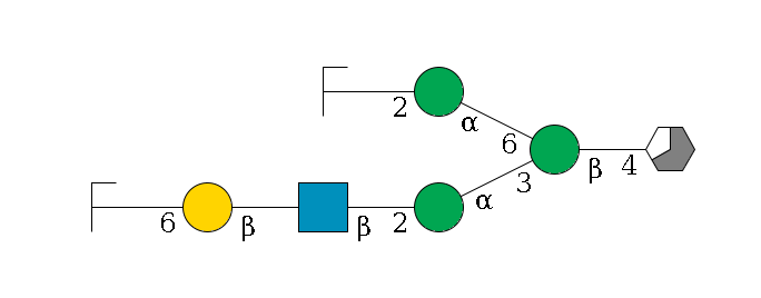 b1D-GlcNAc,p/#acleavage_3_5--4b1D-Man,p(--3a1D-Man,p--2b1D-GlcNAc,p--?b1D-Gal,p--6a2D-NeuAc,p/#zcleavage)--6a1D-Man,p--2b1D-GlcNAc,p/#zcleavage$MONO,Und,-H,0,redEnd