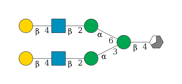 b1D-GlcNAc,p/#acleavage_3_5--4b1D-Man,p(--3a1D-Man,p--2b1D-GlcNAc,p--4b1D-Gal,p)--6a1D-Man,p--2b1D-GlcNAc,p--4b1D-Gal,p$MONO,Und,-2H,0,redEnd