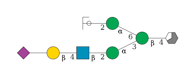 b1D-GlcNAc,p/#acleavage_3_5--4b1D-Man,p(--3a1D-Man,p--2b1D-GlcNAc,p--4b1D-Gal,p--??2D-NeuAc,p)--6a1D-Man,p--2b1D-GlcNAc,p/#ycleavage$MONO,Und,-H,0,redEnd
