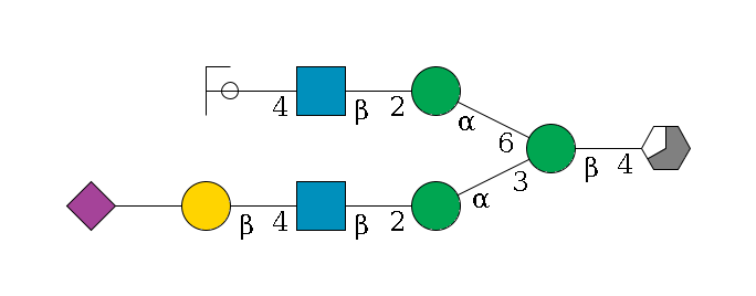 b1D-GlcNAc,p/#acleavage_3_5--4b1D-Man,p(--3a1D-Man,p--2b1D-GlcNAc,p--4b1D-Gal,p--??2D-NeuAc,p)--6a1D-Man,p--2b1D-GlcNAc,p--4b1D-Gal,p/#ycleavage$MONO,Und,-H,0,redEnd