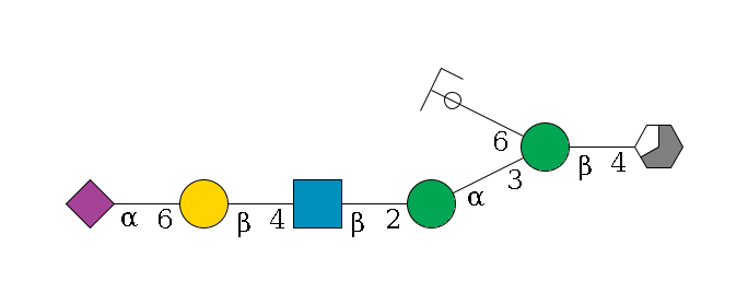 b1D-GlcNAc,p/#acleavage_3_5--4b1D-Man,p(--3a1D-Man,p--2b1D-GlcNAc,p--4b1D-Gal,p--6a2D-NeuAc,p)--6a1D-Man,p/#ycleavage$MONO,Und,-H,0,redEnd